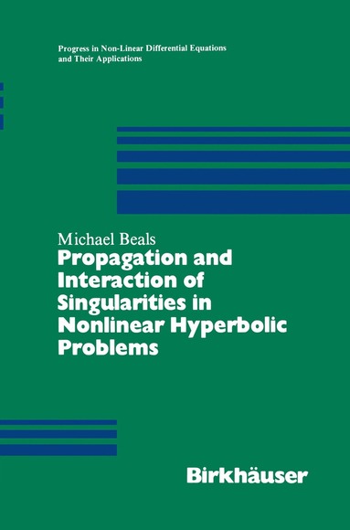 bokomslag Propagation and Interaction of Singularities in Nonlinear Hyperbolic Problems