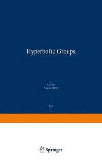 bokomslag Sur les Groupes Hyperboliques daprs Mikhael Gromov