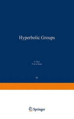 bokomslag Sur les Groupes Hyperboliques daprs Mikhael Gromov
