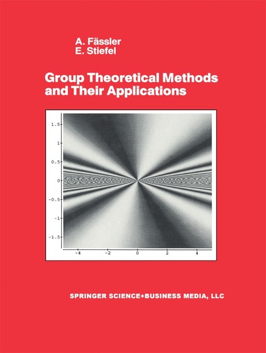 E. Stiefel, A. Fässler - Group Theoretical Methods and Their Applications, Inbunden