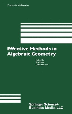 bokomslag Effective Methods in Algebraic Geometry