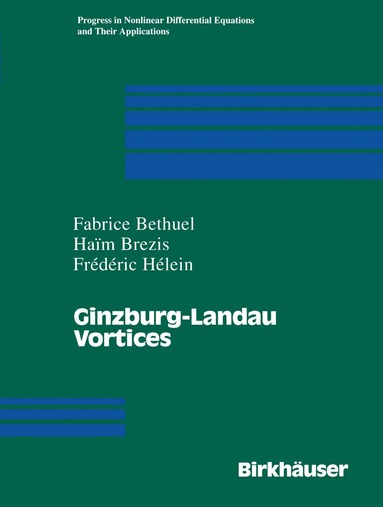 bokomslag Ginzburg-Landau Vortices