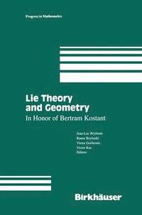 bokomslag Lie Theory and Geometry