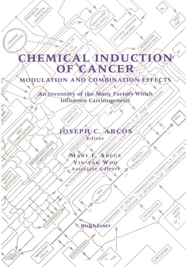 bokomslag Chemical Induction of Cancer