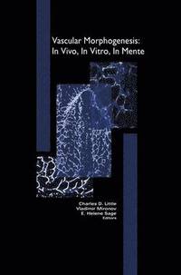 bokomslag Vascular Morphogenesis: In Vivo, In Vitro, In Mente