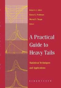 bokomslag A Practical Guide to Heavy Tails