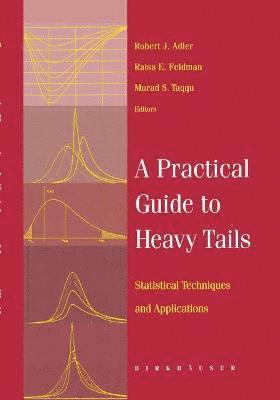 Adler, Robert Adler, Raya Feldman, Murad Taqqu, R. Adler - Practical Guide to Heavy Tails, Inbunden