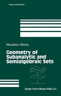 bokomslag Geometry of Subanalytic and Semialgebraic Sets