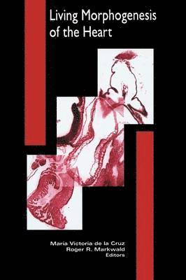 R. M. Markwald, M. V. De La Cruz, Roger Markwald, Maria De la Cruz, Maria De La Cruz - Living Morphogenesis of the Heart, Inbunden