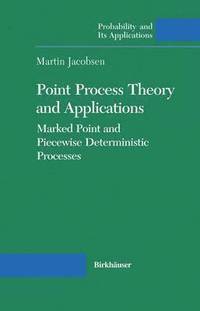 bokomslag Point Process Theory and Applications