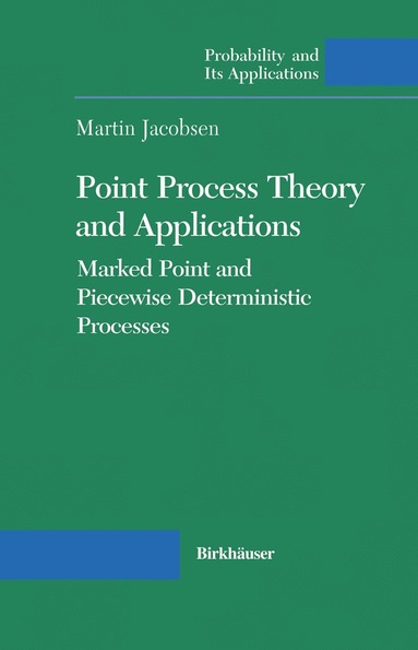 bokomslag Point Process Theory and Applications