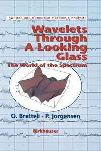 bokomslag Wavelets Through a Looking Glass