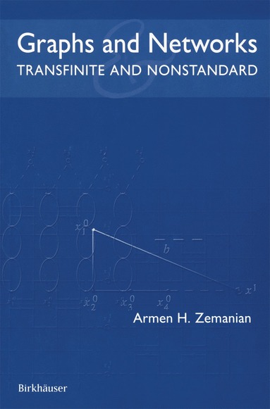 bokomslag Graphs and Networks