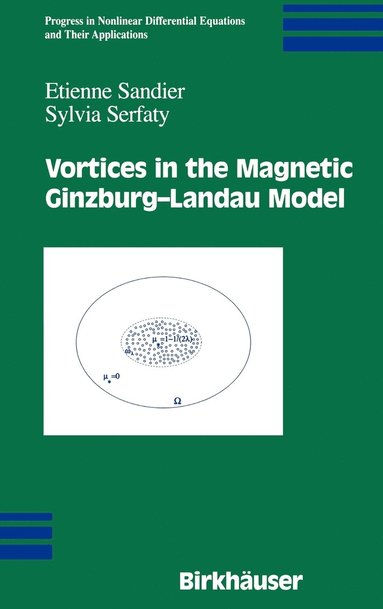 bokomslag Vortices in the Magnetic Ginzburg-Landau Model