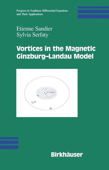 bokomslag Vortices in the Magnetic Ginzburg-Landau Model