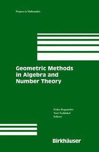 bokomslag Geometric Methods in Algebra and Number Theory