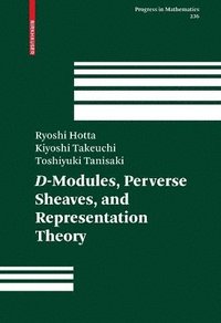 bokomslag D-Modules, Perverse Sheaves, and Representation Theory