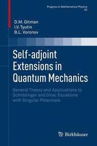 bokomslag Self-adjoint Extensions in Quantum Mechanics