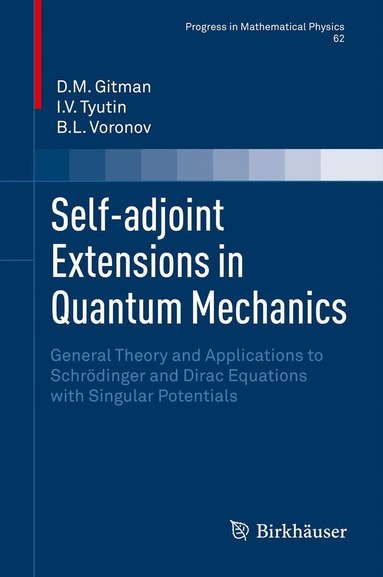 D.M. Gitman, I.V. Tyutin, B.L. Voronov - Self-adjoint Extensions in Quantum Mechanics, Inbunden
