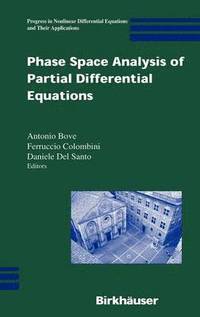 bokomslag Phase Space Analysis of Partial Differential Equations
