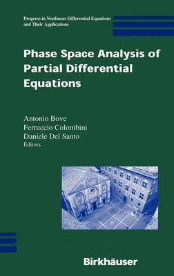 Phase Space Analysis of Partial Differential Equations 1