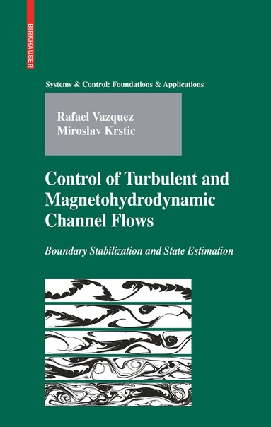 Rafael Vazquez, Miroslav Krstic - Control of Turbulent and Magnetohydrodynamic Channel Flows, Inbunden