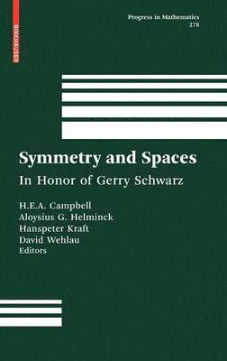 H.E.A. Eddy Campbell, Aloysius G. Helminck, Hanspeter Kraft, David L. Wehlau, H. E. a. Eddy Campbell, H E a Eddy Campbell, Aloysius G Helminck, David L Wehlau - Symmetry and Spaces, Inbunden