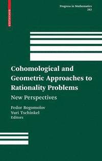 bokomslag Cohomological and Geometric Approaches to Rationality Problems