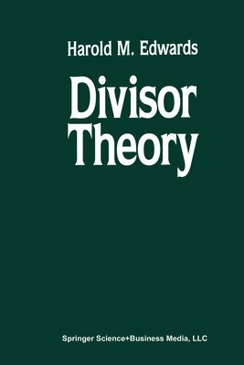 bokomslag Divisor Theory