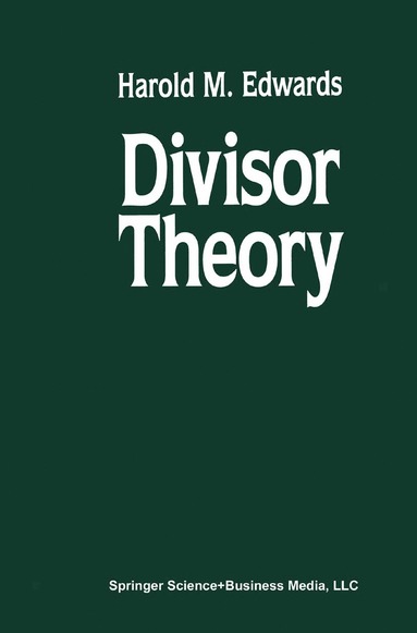 bokomslag Divisor Theory