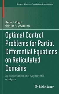 bokomslag Optimal Control Problems for Partial Differential Equations on Reticulated Domains