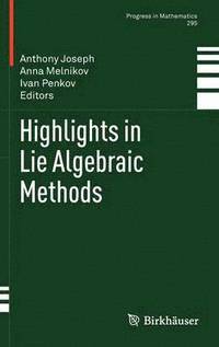 bokomslag Highlights in Lie Algebraic Methods