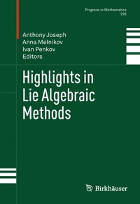 bokomslag Highlights in Lie Algebraic Methods