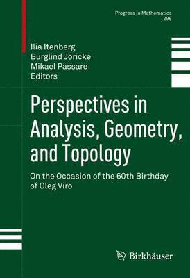 Perspectives in Analysis, Geometry, and Topology 1