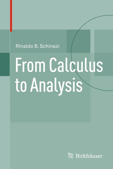 bokomslag From Calculus to Analysis