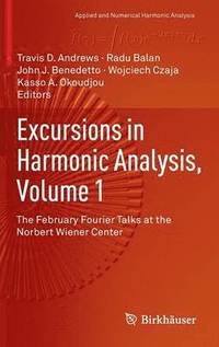 bokomslag Excursions in Harmonic Analysis, Volume 1