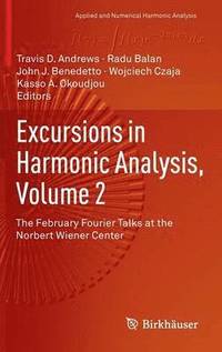 bokomslag Excursions in Harmonic Analysis, Volume 2
