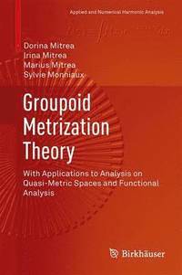 bokomslag Groupoid Metrization Theory
