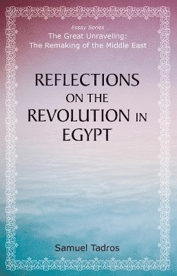 Reflections on the Revolution in Egypt