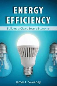 bokomslag Energy Efficiency
