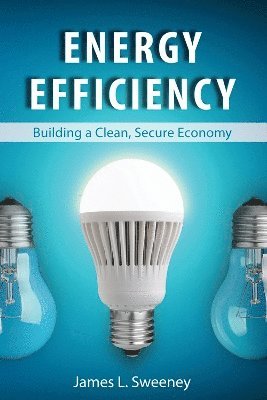 James L. Sweeney, James L Sweeney - Energy Efficiency, Inbunden