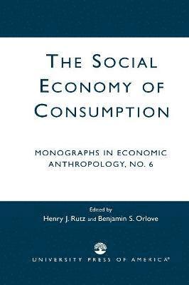 bokomslag The Social Economy Consumption No 6