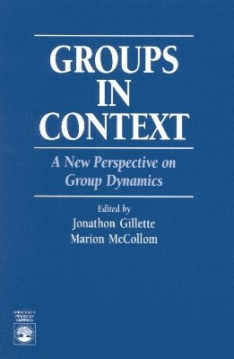 bokomslag Groups in Context