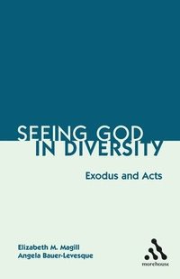 bokomslag Seeing God in Diversity