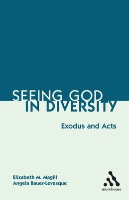 Seeing God in Diversity 1