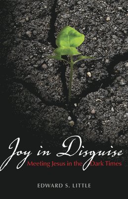 Joy in Disguise 1