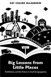 bokomslag Big Lessons from Little Places