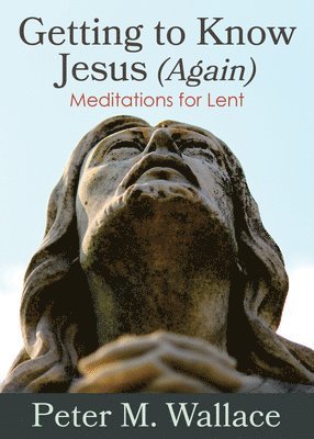 bokomslag Getting to Know Jesus (Again)