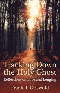 bokomslag Tracking Down the Holy Ghost