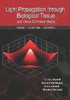 bokomslag Light Propagation Through Biological Tissue and Other Diffusive Media